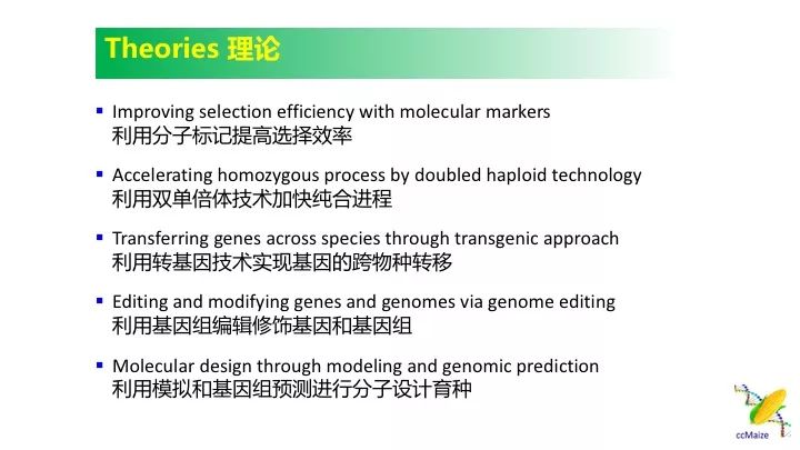 新澳门六回精准免费开奖，实证解答解释落实_iShop88.78.93