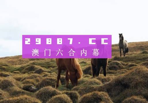 2024澳门开奖结果王中王，高效解答解释落实_ZOL19.30.72